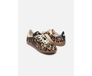 Caval - PULSE Marrone - Sneakers 38 Marrone