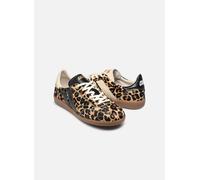 Caval - PULSE Marrone - Sneakers 40 Marrone