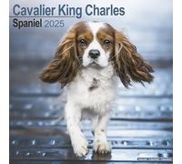Cavalier King Charles 2025 Square Wall Calendar | Dog Breed Calendar