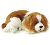 Cavalier King Charles - Il cucciolo che respira - PERFECT PETZZZ