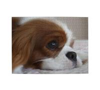Cavalier King Charles Spaniel Animali Cuccioli Cani Adulti Puzzle da 500 pezzi - Puzzle in legno per adulti e anziani