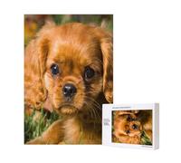 Cavalier King Charles Spaniel Brown Curly Dogs 300 pezzi Puzzle in legno per il divertimento della famiglia degli adulti