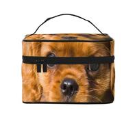 Cavalier King Charles Spaniel Brown Curly Dogs, Borsa da viaggio per il trucco da donna, Grande organizer per cosmetici