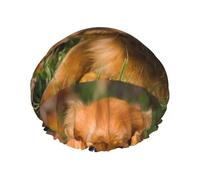 Cavalier King Charles Spaniel Brown Curly Dogs,Cuffia da doccia, cuffia da notte, doppio strato, impermeabile, elastica, riutilizzabile.