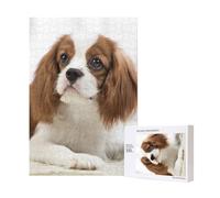 Cavalier King Charles Spaniel Brown Spaniel 300 pezzi Puzzle in legno per il divertimento della famiglia degli adulti
