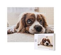 Cavalier King Charles Spaniel Cani carini Animali domestici,Puzzle in legno da 500 pezzi, gioco di famiglia, puzzle per adulti e adolescenti, decorazioni per la casa