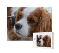Cavalier King Charles Spaniel carino,Puzzle in legno da 500 pezzi, gioco di famiglia, puzzle per adulti e adolescenti, decorazioni per la casa