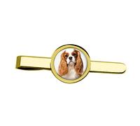 Cavalier King Charles Spaniel Fermacravatta