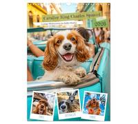 Cavalier King Charles Spaniel - Lustige Weltenreise im Selfie-Modus (Wandkalender 2026 DIN A3 hoch), CALVENDO Monatskalender: Cavalier King Charles Globetrotter - Eine Weltreise in Selfies