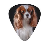 Cavalier King Charles Spaniel madre con cuccioli,12 pezzi di plettri per chitarra, 3 plettri di diverso spessore per chitarra acustica, basso, ukulele