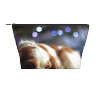 Cavalier King Charles Spaniel Piccolo Spaniel, Borsa da toilette Borsa per trucco Borsa per cosmetici Borsa da toilette da viaggio portatile