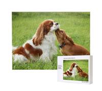 Cavalier King Charles Spaniel,Puzzle in legno da 500 pezzi, gioco di famiglia, puzzle per adulti e adolescenti, decorazioni per la casa