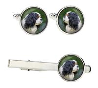 Cavalier King Charles Spaniel set di mollette in una scatola con immagine Art-Do