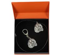 Cavalier King Charles Spaniel - Set - Il Cane Nella Scatola Arancione Art Dog DE