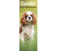 Calendario Slim Otter House Cavalier King Charles Spaniel Mese Per Visione 2026