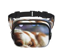 Cavalier King Charles Spaniel Spaniel di piccola taglia, Marsupio quadrato a doppio strato, borsa da viaggio, marsupio casual