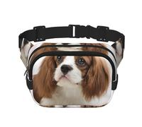 Cavalier King Charles Spaniel Spaniel marrone, Marsupio quadrato a doppio strato, borsa da viaggio, marsupio casual
