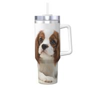 Cavalier King Charles Spaniel Spaniel marrone,Tazza Ice Bully da 40 oz con manico, in acciaio inossidabile, con borraccia