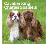 Cavalier King Charles Spaniels 2026 - 16-Monatskalender: Original BrownTrout-Kalender [Mehrsprachig] [Kalender]