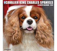 Cavalier King Charles Spaniels 2026 Wall Calendar