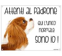 CAVALIER KING mod 2 Attenti al padrone qui l'unico normale sono io! CANE CARTELLO TARGA IN METALLO (15x20)