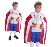 Cavaliere Medievale Costume King Prince Bambini Incoronazione Ragazzi