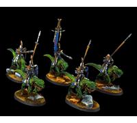 CAVALIERI DRAKESPAWN - città di sigmar COMMISSIONE dipinto