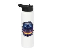 Cavalieri nella sfera di cristallo della supernova Stainless Steel Insulated Water Bottle