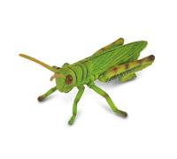 Cavalletta Collecta cod. 88352
