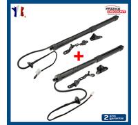 Cavalletti Cofano Motorizzato Posteriore Sinistra Destra per Rav 4 6891009013