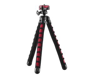 CAVALLETTO MANTONA 21402