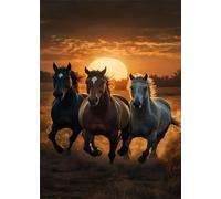 Cavalli al tramonto Puzzle 300 Pezzi 40x28 cm Puzzle Fai da te,Intrattenimento Creativo - Puzzle Per Adulti E Tutta La Famiglie