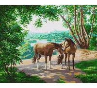 Cavalli dei boschi Dipingere con i Numeri per Adulti,con Telaio Kit di pittura su Tela Set di Pittura a Olio Fai da Te con pennelli e Colori Acrilica Paint by Numbers Decora la casa Regalo 45x60 cm