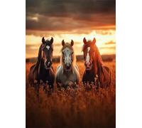 Cavalli del campo al tramonto Puzzle 4000 Pezzi 141x87 cm Puzzle Fai da te,Intrattenimento Creativo - Puzzle Per Adulti E Tutta La Famiglie