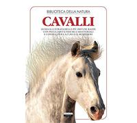 Cavalli. Ediz. illustrata