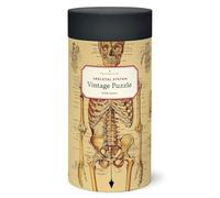 Cavallini 1000 Piece Puzzle, Skeletal System (PZL/SKL)