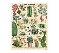 Cavallini- Cacti & Succulents 1,000 Piece Puzzle, Multicolore, 1000, PZL/SUC