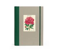 CAVALLINI & CO. Window Notebook Botany