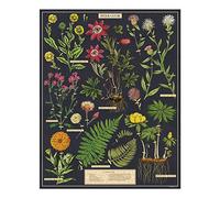 VINTAGE PUZZLE CAVALLINI & CO 1000 PZ 55X70 HERBARIUM PZL/HERBARIUM