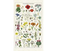 Cavallini Papers & Co., Inc. - Strofinaccio, multicolore