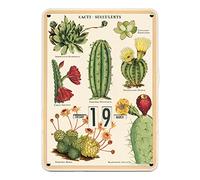 Cavallini Papers & Co Inc Succulents Perpetual Calendar, Multicolore