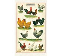 Cavallini Papers & Co. Strofinaccio Polli