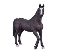 Cavallo arabo Mojo nero