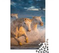 Cavallo bianco Jigsaw Puzzle Impossibili 1000Pcs Tramonto sul mare Decorazione Per La Casa. Rilassamento E Intelligence Per Adulti E Bambini Da 12 Anni 1000pcs (75x50cm)
