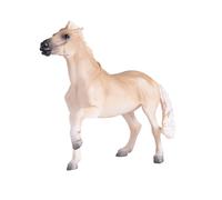 Cavallo Brumby di Mojo