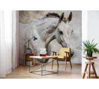 Cavallo Gigante Carta da Parati Murale Camera Letto & Vivente 368x254cm