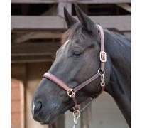 Cavallo Guard Halter In Pelle - Marrone - Halter Per Pony