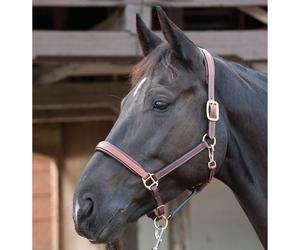 Cavallo Guard Halter In Pelle - Marrone - Halter Per Pony