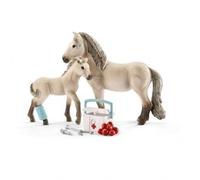 Cavallo islandese e kit di pronto soccorso