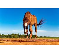 Cavallo marrone - Puzzle in legno da 2000 pezzi, regalo per amicizia, svago, intrattenimento, decorazione per feste, 14 anni+